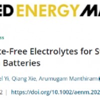 大牛再次將EC排除在高鎳鋰電池電解液體系之外
